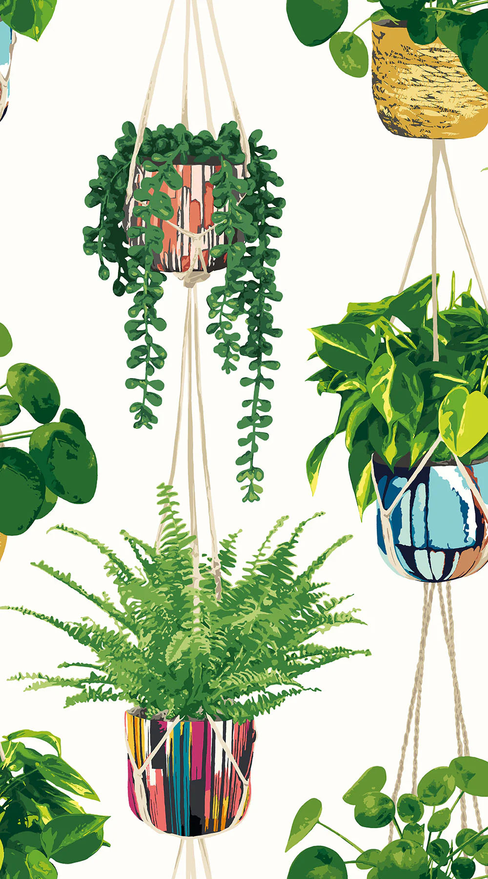 Houseplant wallpaper by Ohpopsi