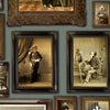 Colonel Fox & Friends Wallpaper by Graduate Collection