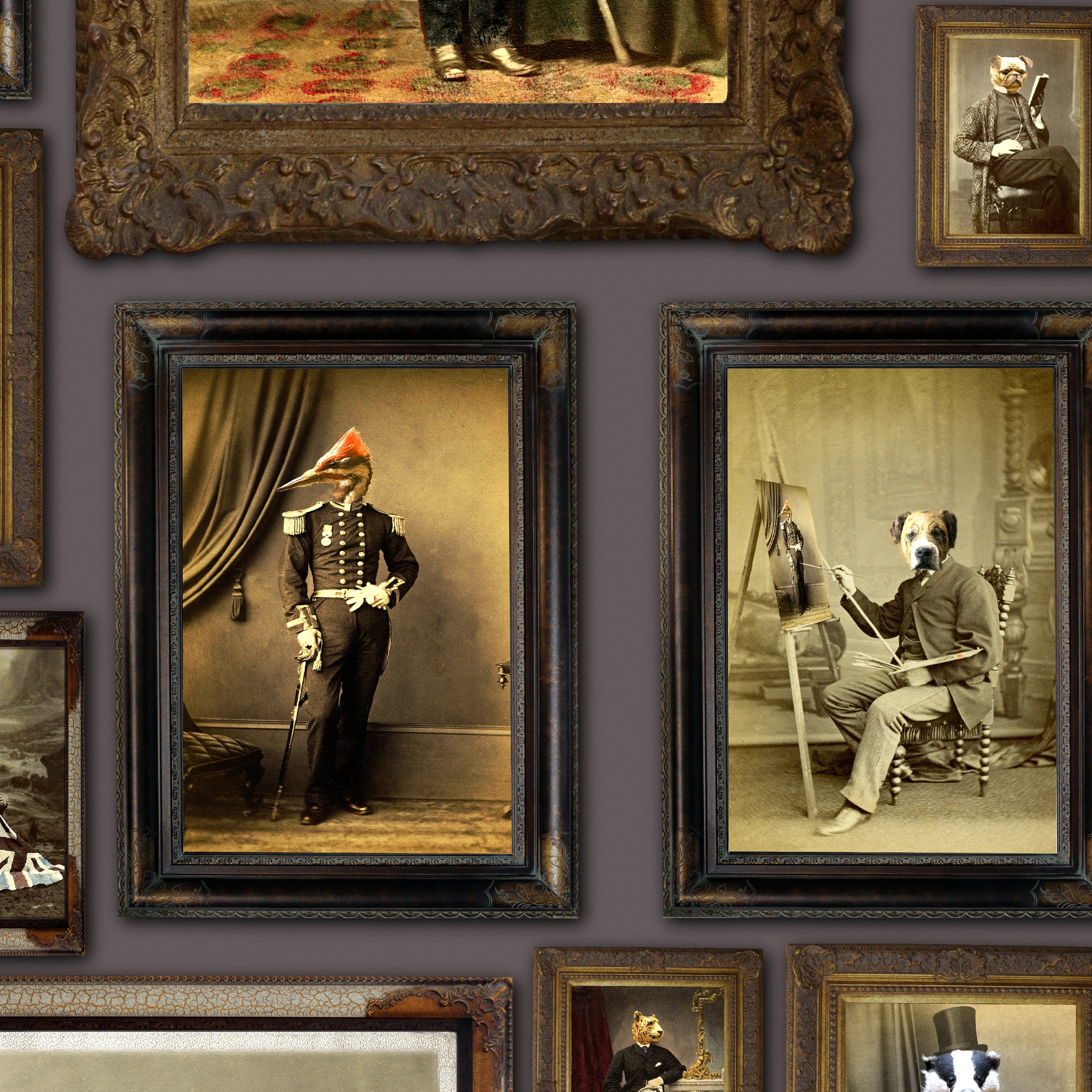 Colonel Fox & Friends Wallpaper by Graduate Collection