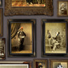 Colonel Fox & Friends Wallpaper by Graduate Collection
