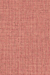 Warm Fushsia