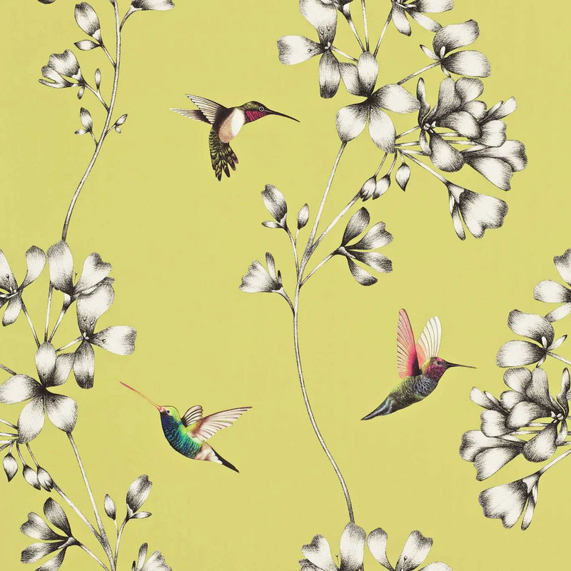 Amazilia Wallpaper by Harlequin