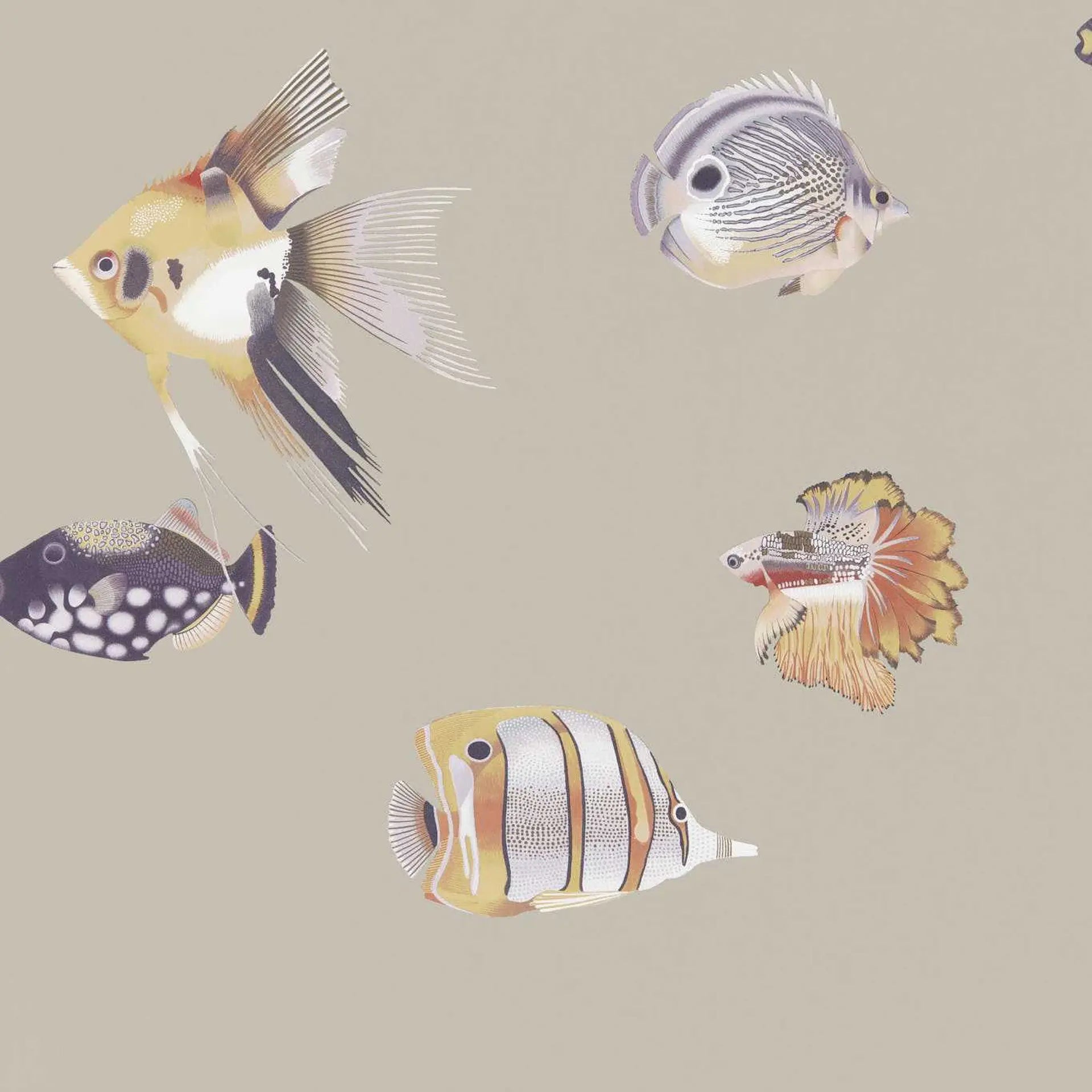 Kamanu Wallpaper by Harlequin