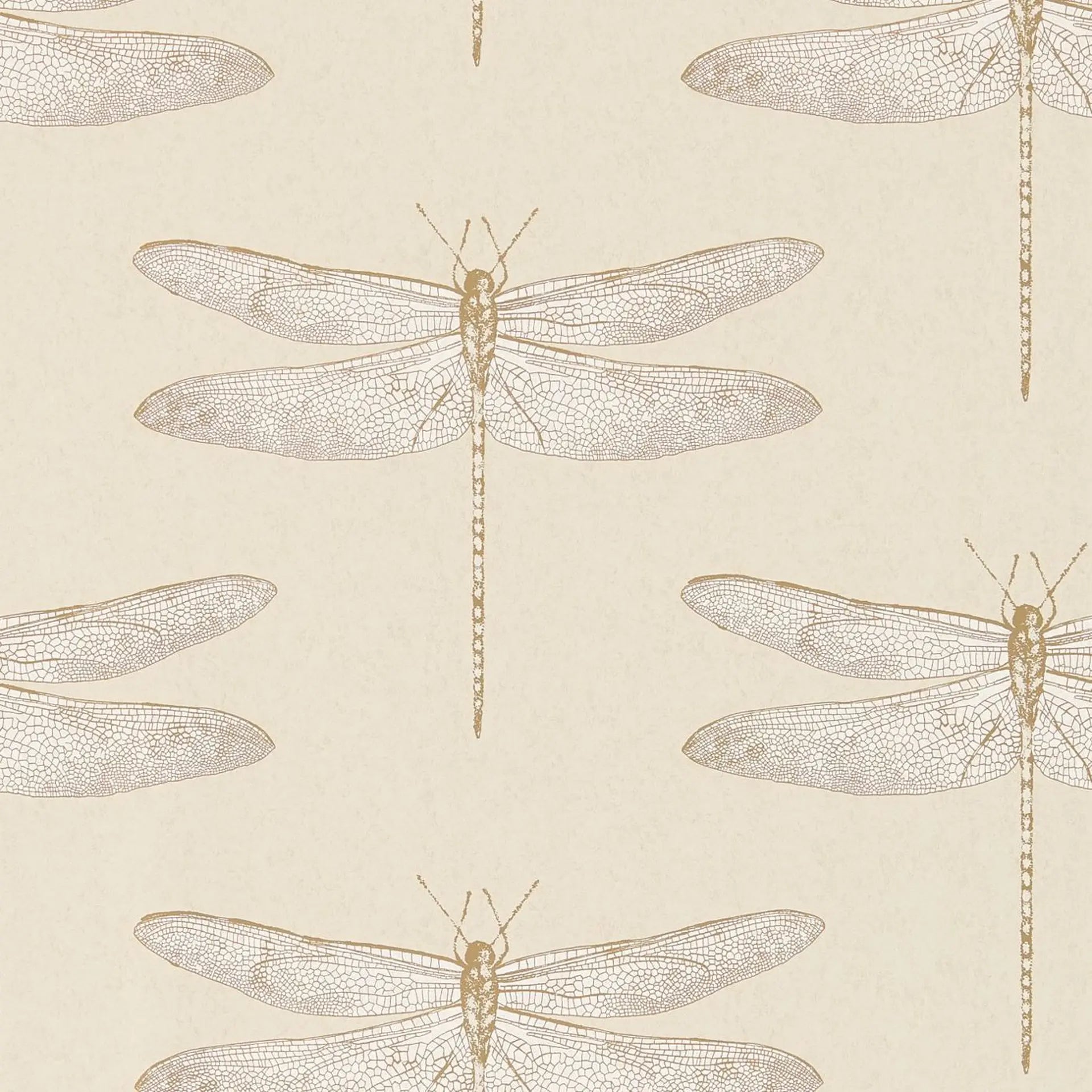 Demoiselle Wallpaper by Harlequin