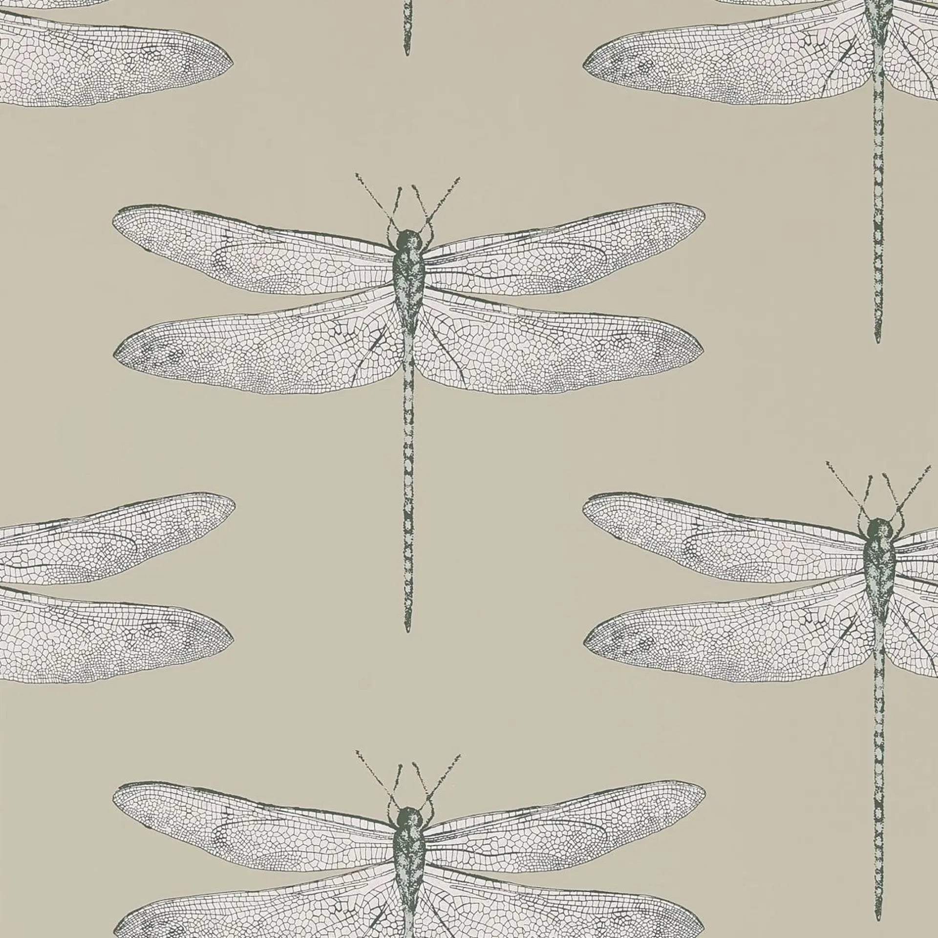 Demoiselle Wallpaper by Harlequin