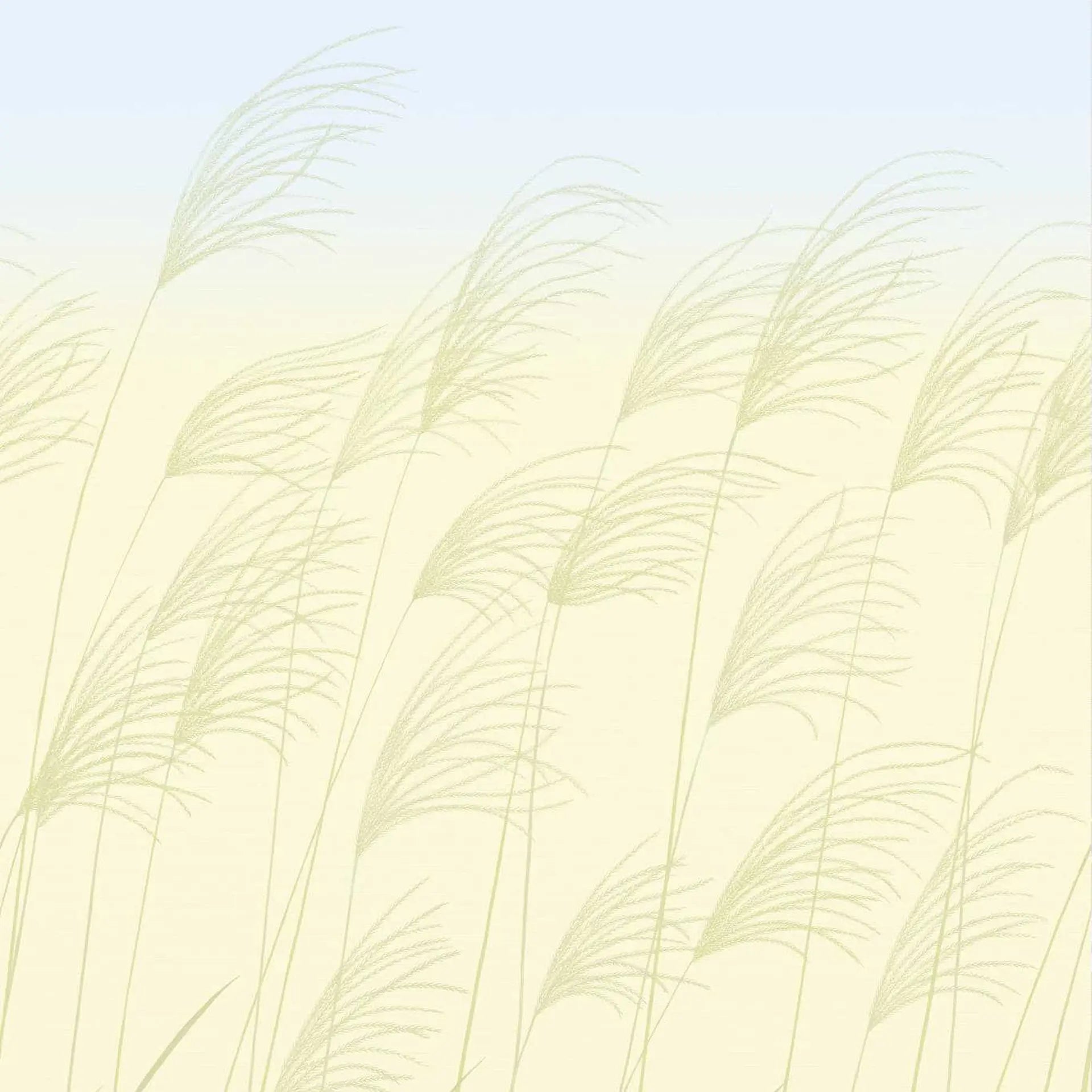 Miscanthus Wallpanel by Harlequin