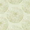 Elixity Wallpapers by Harlequin