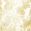Cream & Gold