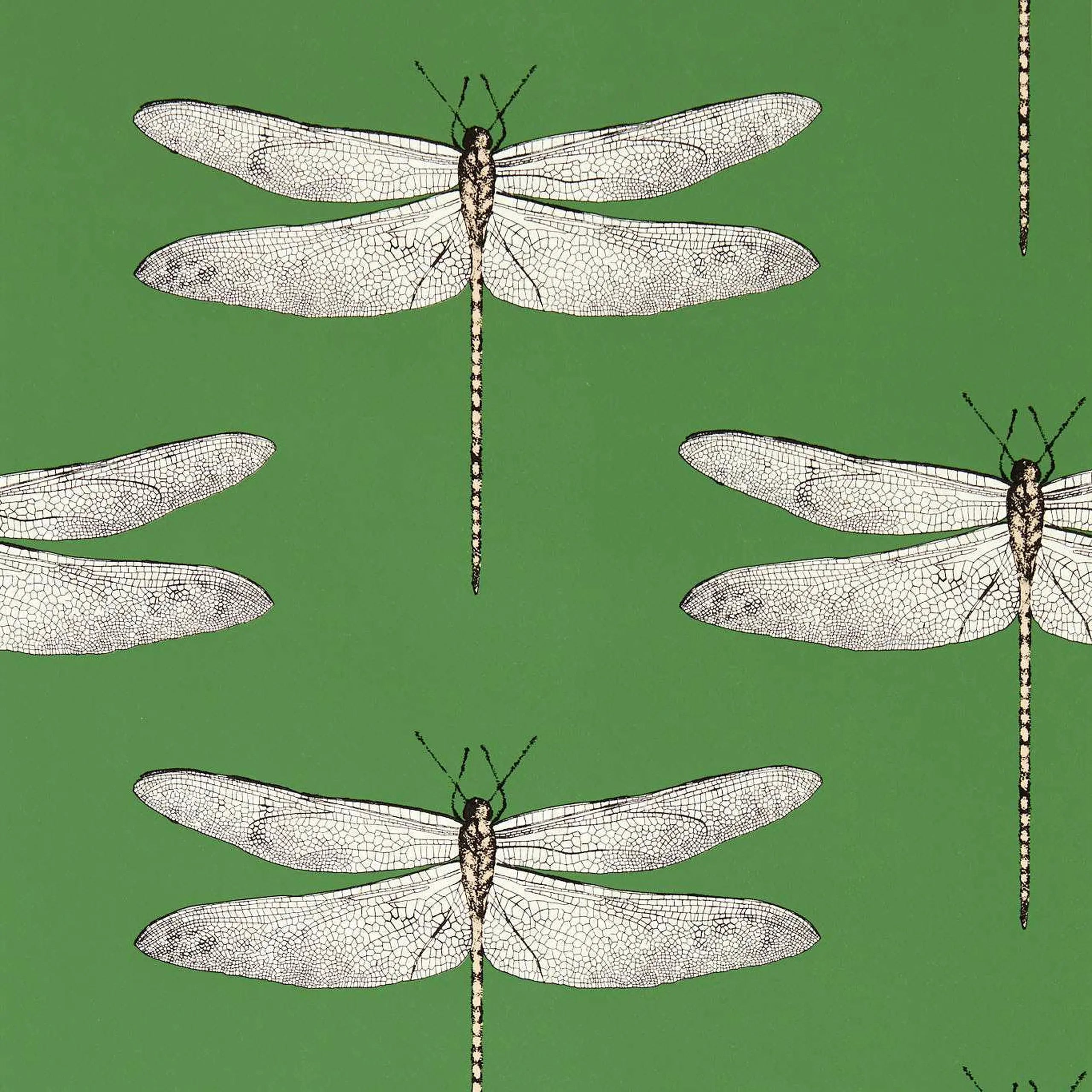 Demoiselle Wallpaper by Harlequin