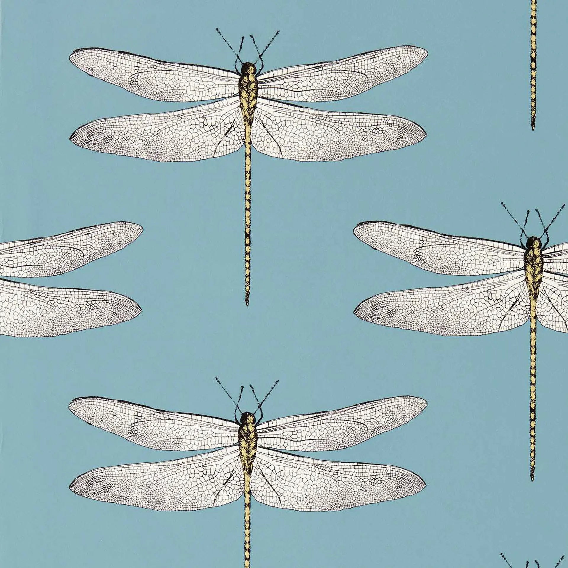 Demoiselle Wallpaper by Harlequin