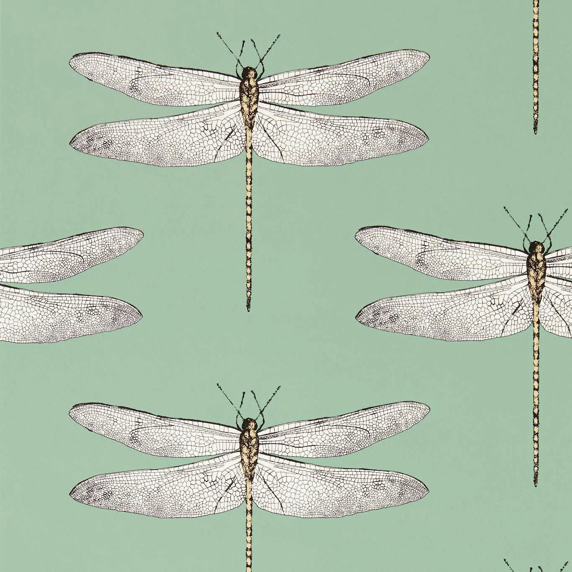 Demoiselle Wallpaper by Harlequin
