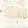 Salinas wallpaper by Harlequin