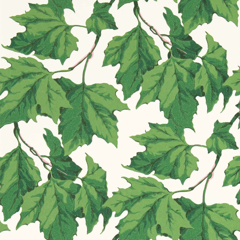 Dappled Leaf Wallpaper by Harlequin