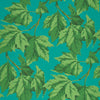 Emerald/Teal