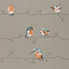 Tangerine/ Duck Egg