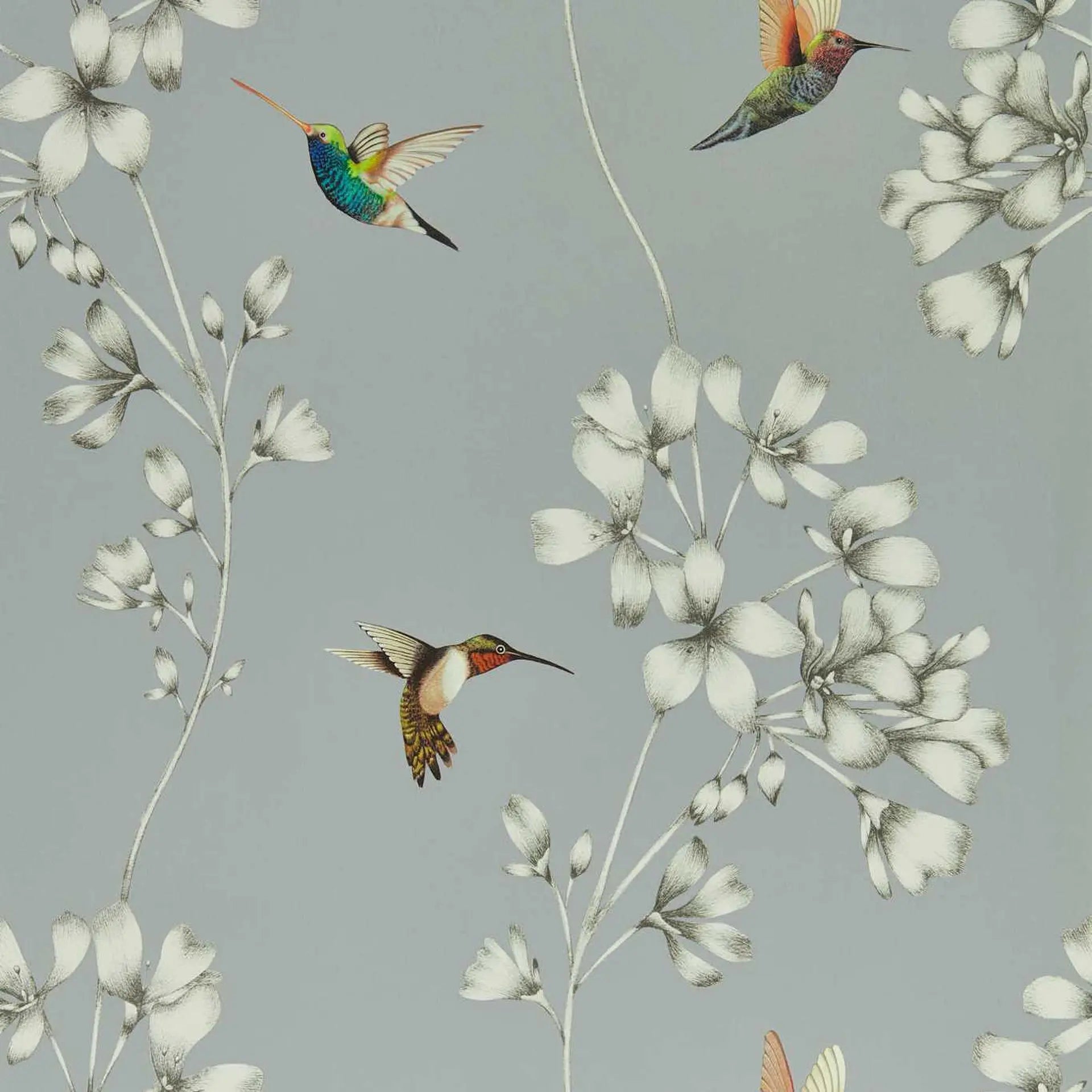 Amazilia Wallpaper by Harlequin