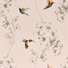 Amazilia Wallpaper by Harlequin