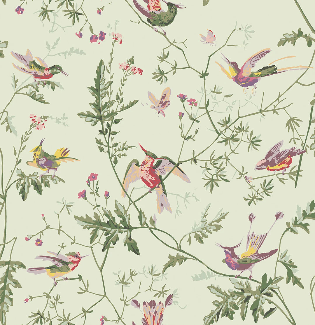 Humming Birds Wallpaper by Cole & Son
