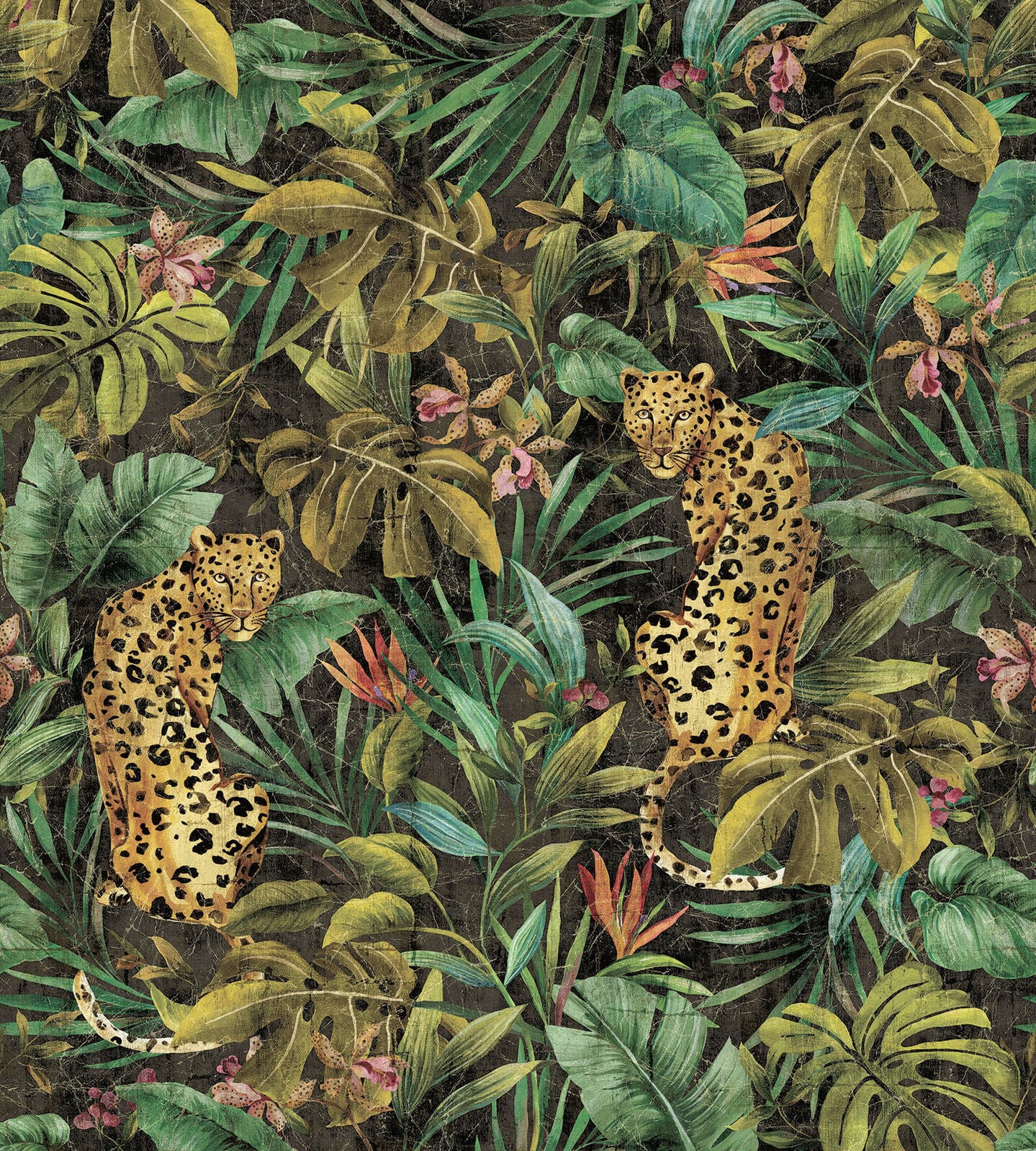 Exotica Mural - Daisy Bennett