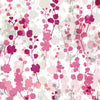 Raspberry