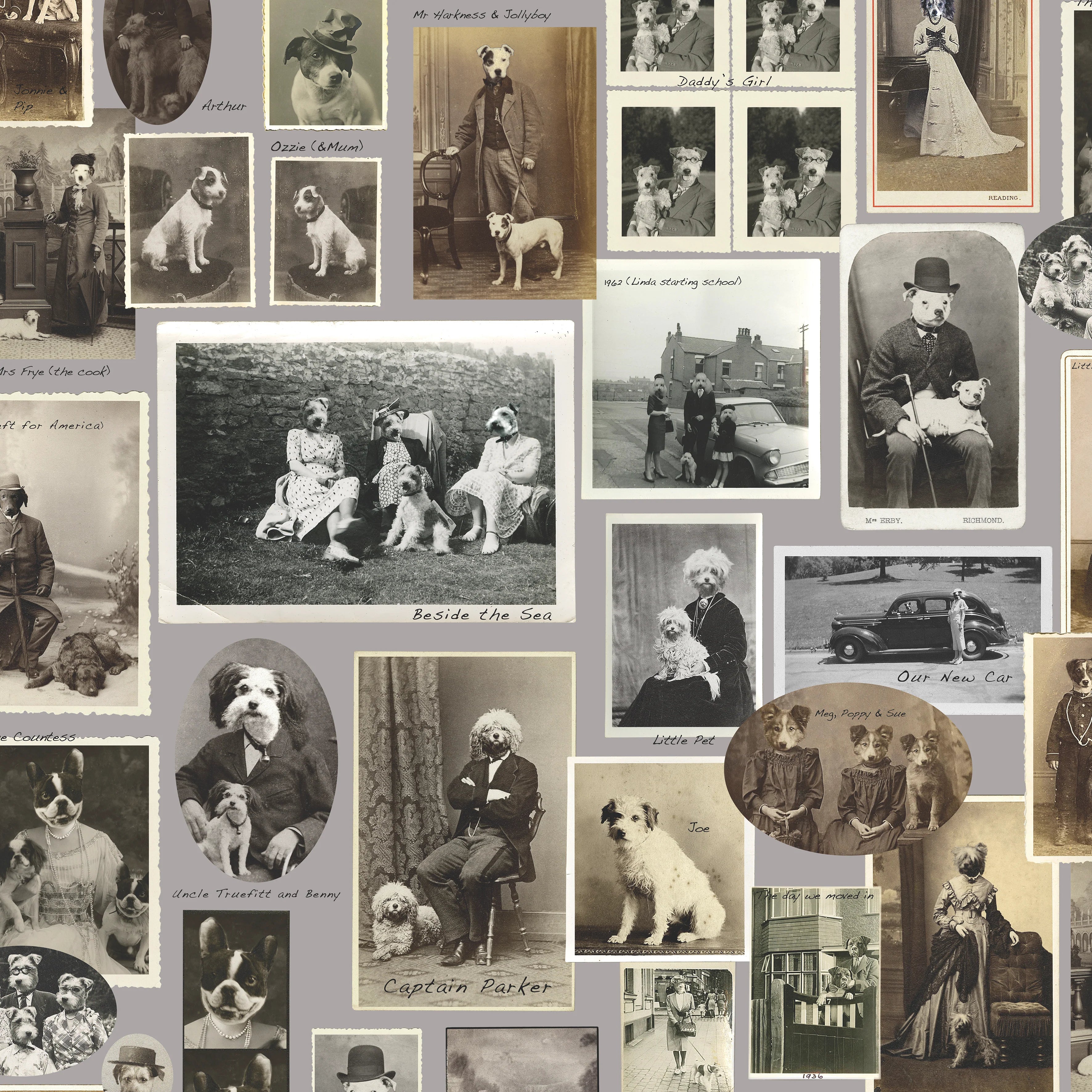 Jolly Boy Wallpaper by Graduate Collection