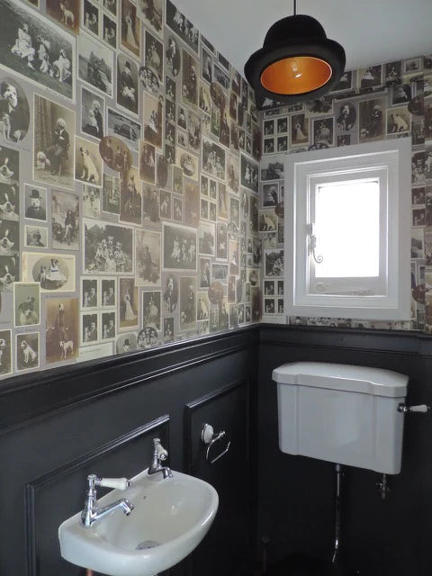 Jolly Boy Wallpaper by Graduate Collection