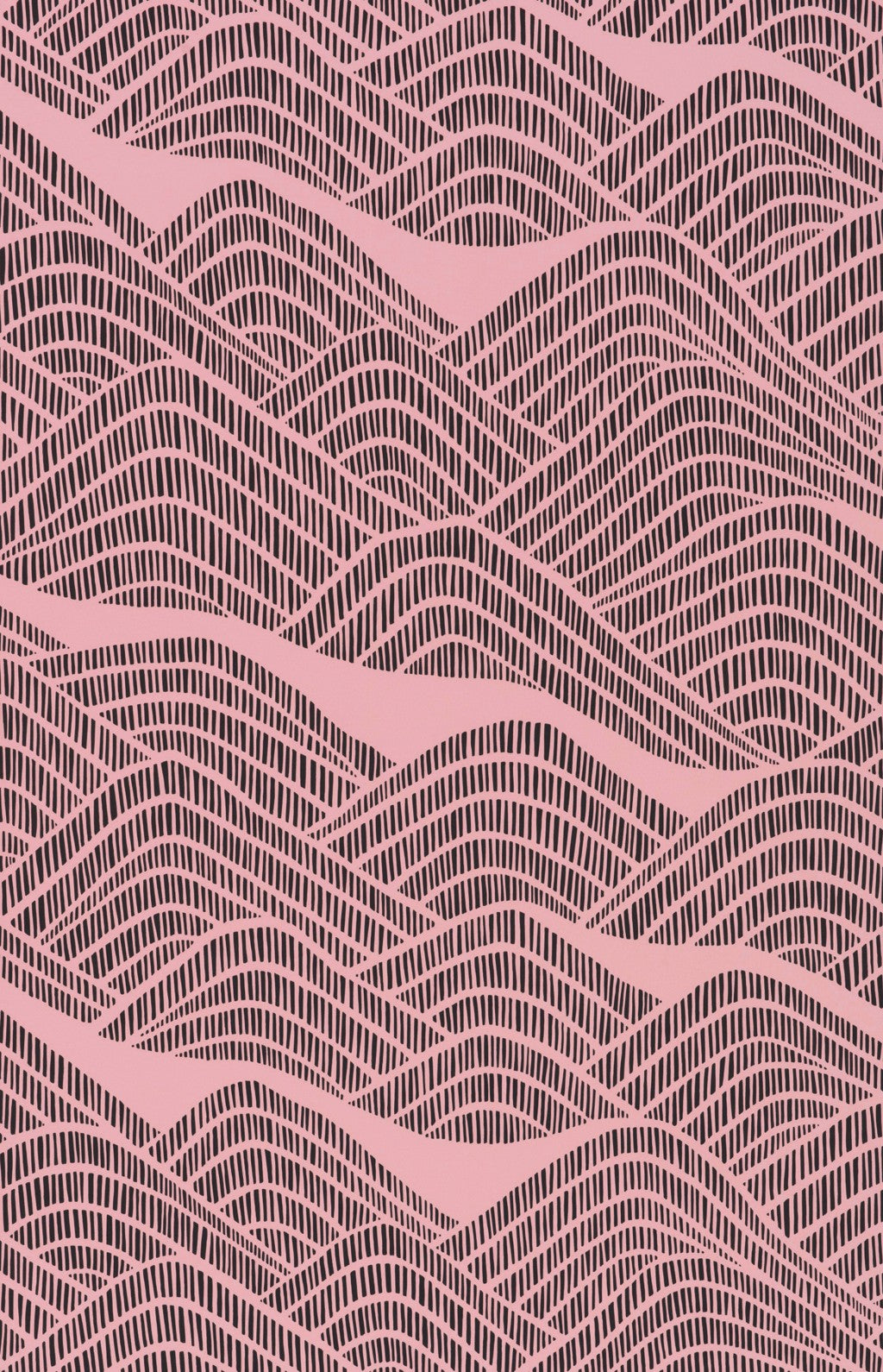 Frontier Seashell Wallpaper by Miss Print