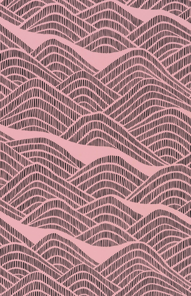 Frontier Seashell Wallpaper by MissPrint