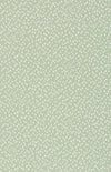 Pistachio