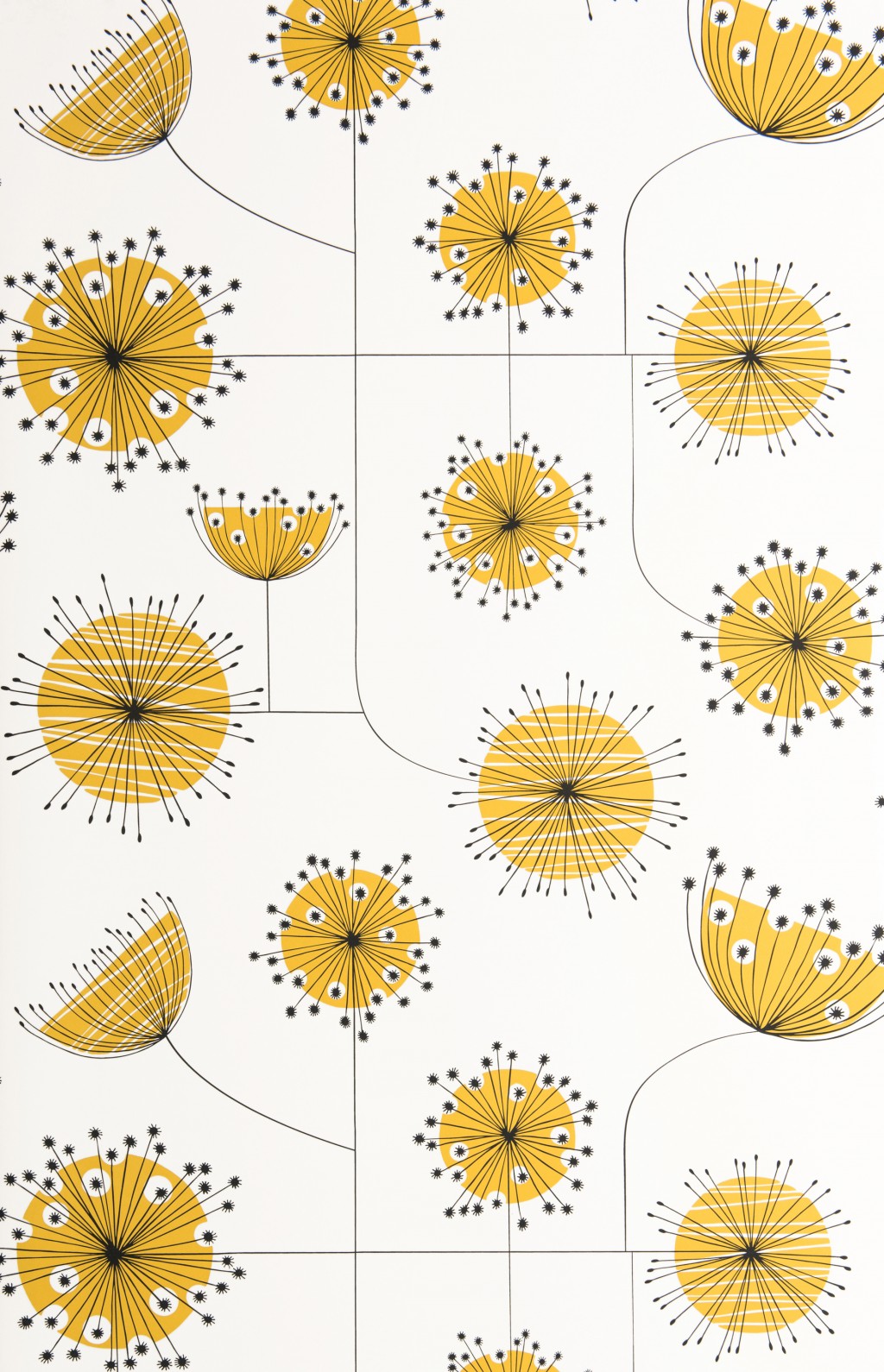 Dandelion Mobile Wallpaper by Miss Print