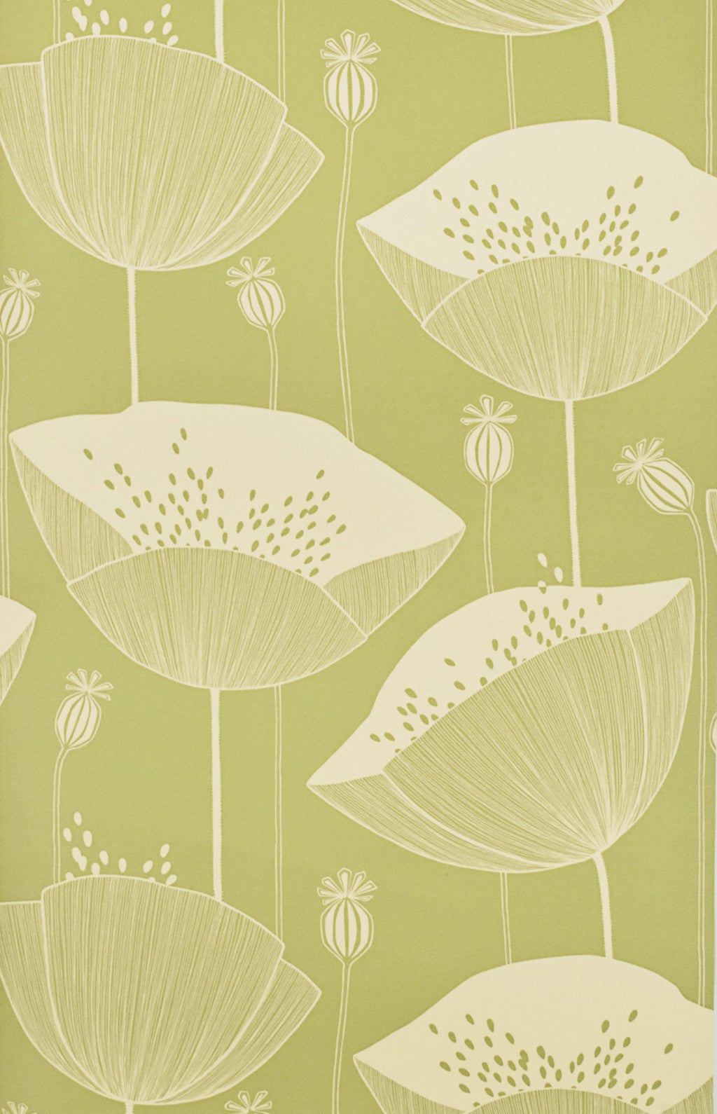 Poppy Wallpaper by Miss Print