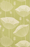 Poppy Wallpaper by MissPrint