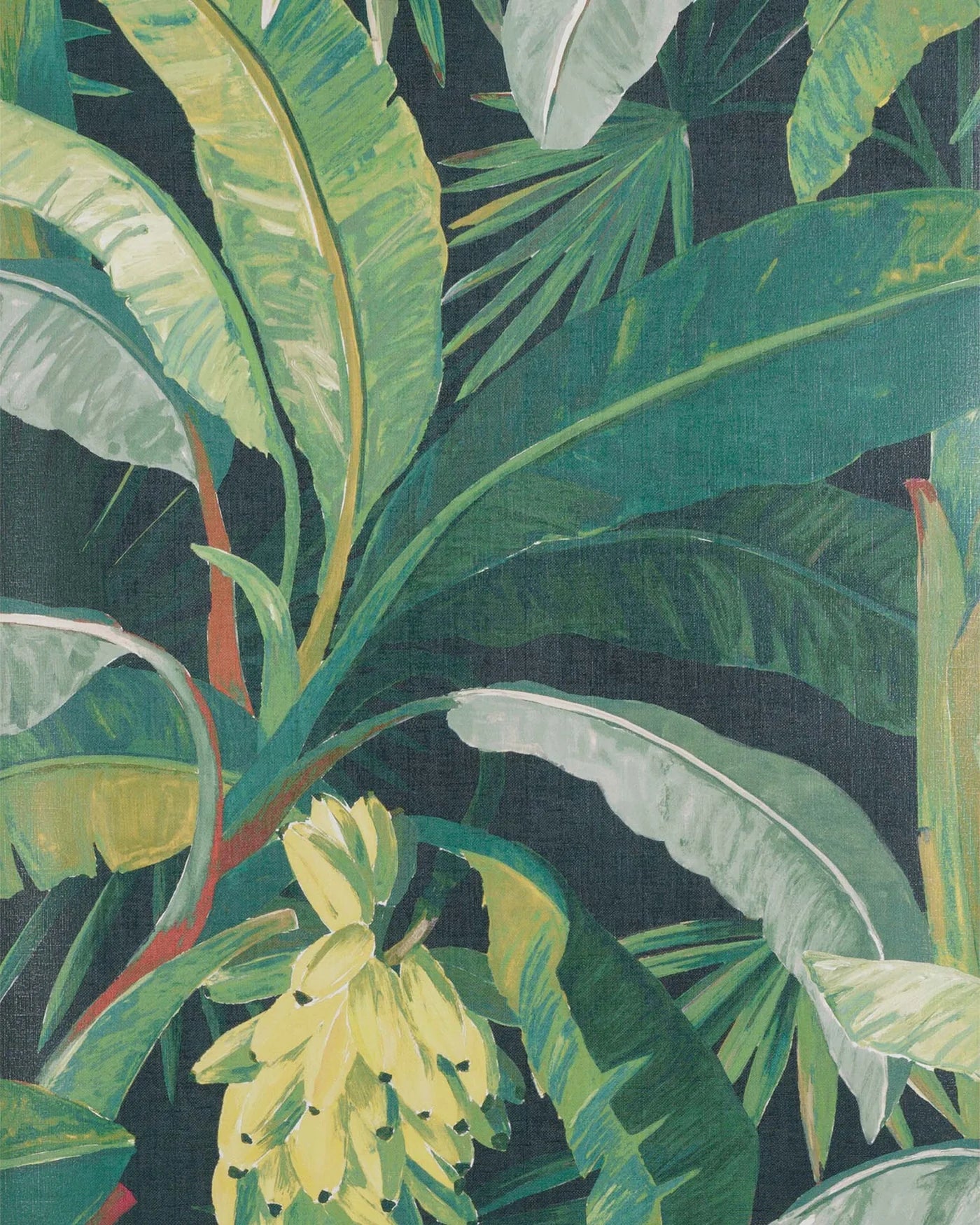 La Palma Wallpaper by Catherine Martin X Mokum