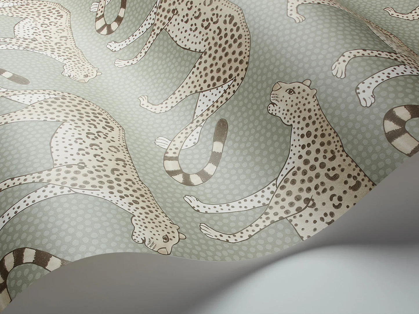 Leopard Walk Wallpaper by Cole & Son