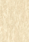 Stucco Wallpaper by Arte (Sold per Lineal Metre)