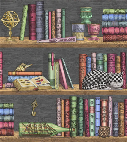 Libreria Wallpaper by Cole & Son