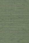 Lorcha Grasscloth Wallpaper by Daisy Bennett
