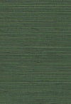 Lorcha Grasscloth Wallpaper by Daisy Bennett