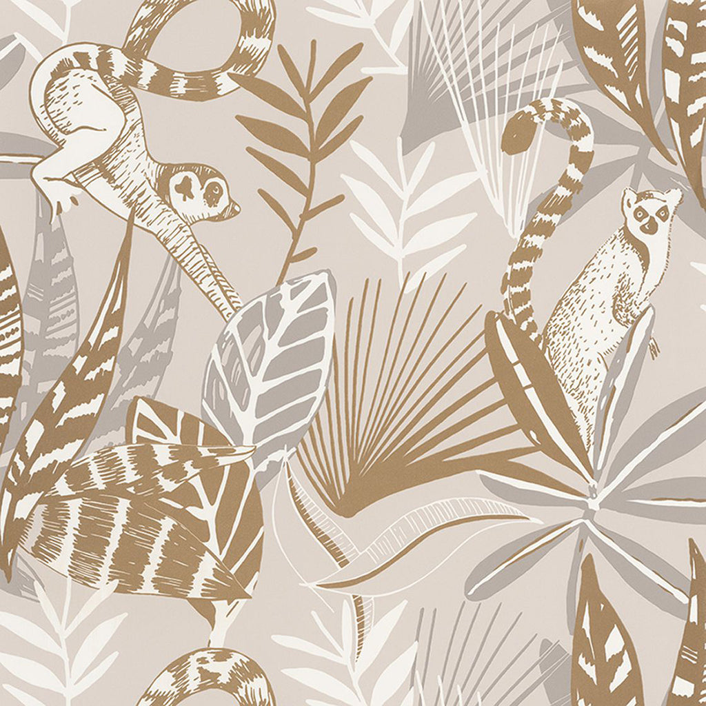 Madagascar Wallpaper