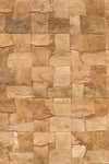 Bark