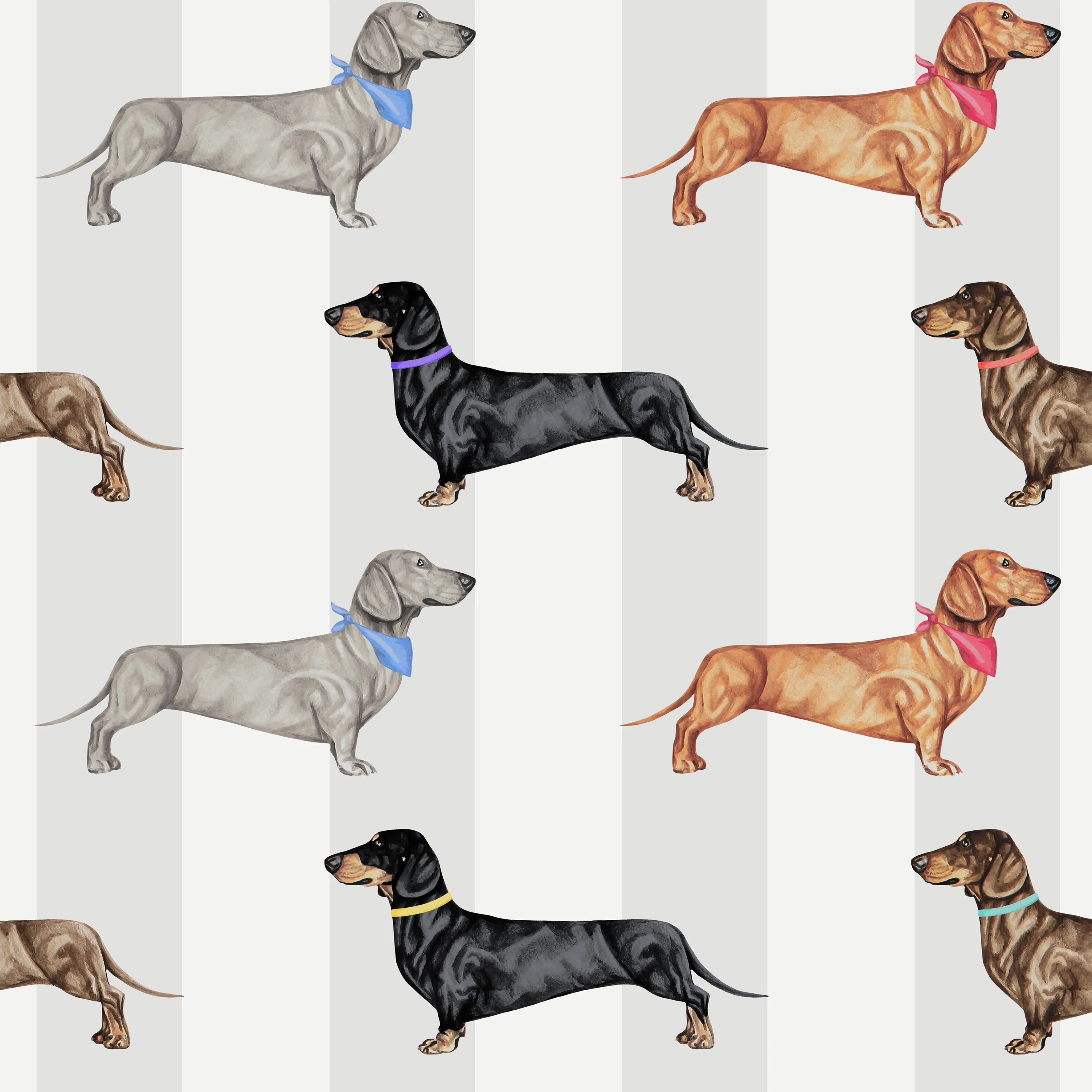 Dachshund Wallpaper by Graduate Collection