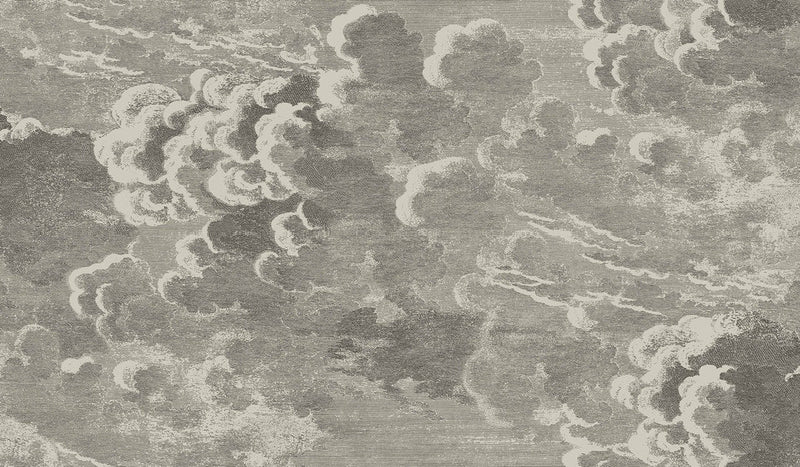 Nuvolette Wallpaper by Cole & Son (2 roll set)