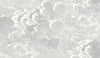 Soot & Snow