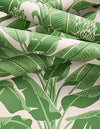 Banana Tree - Palm Grove - Wallpaper