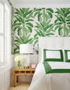 Banana Tree - Palm Grove - Wallpaper