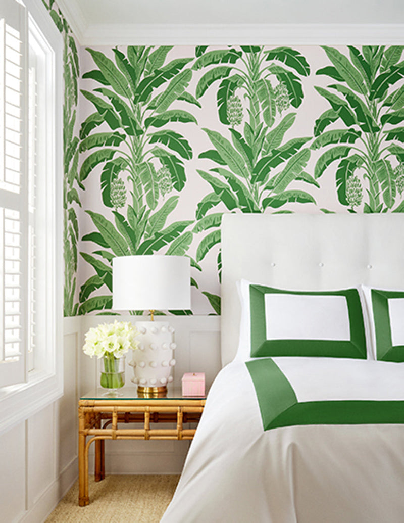 Banana Tree - Palm Grove - Wallpaper