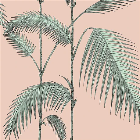 Cole & Son Icons Wallpaper by Cole & Son