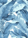 Blue and White