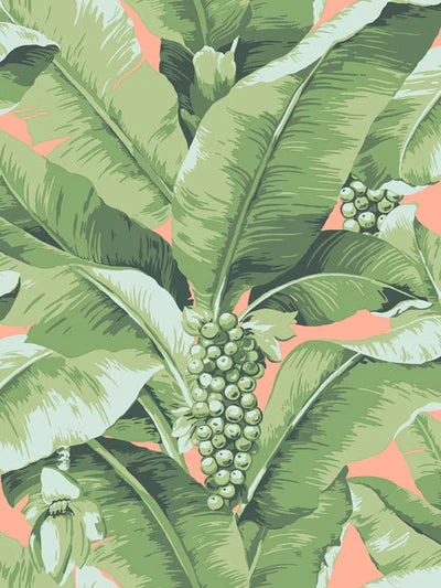 Paradisio Palm Wallpaper by Daisy Bennett