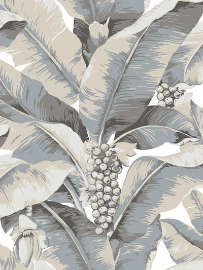 Paradisio Palm Wallpaper by Daisy Bennett